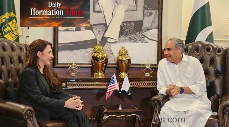 ​Federal Interior Minister Mohsin Naqvi and US Ambassador Natalie Baker discussing high-level talks in Islamabad.