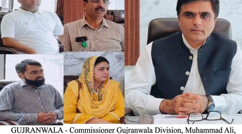 Commissioner Gujranwala Mohammad Ali chairing the review meeting for the anti-polio campaign.